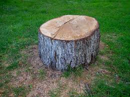 Best Firewood Processing and Delivery  in Atlantic Highlands, NJ