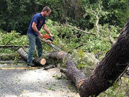 Best Weed Control  in Atlantic Highlands, NJ