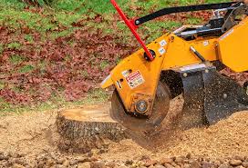  Atlantic Highlands, NJ Tree Removal Pros
