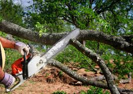 Leaf Removal in Atlantic Highlands, NJ