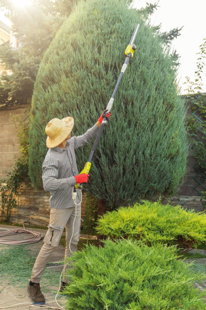 Best Commercial Tree Services  in Atlantic Highlands, NJ