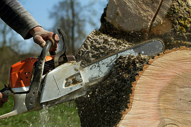 Best Soil Testing and Treatment  in Atlantic Highlands, NJ