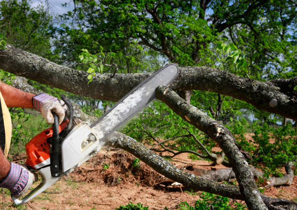 Best Grass Overseeding  in Atlantic Highlands, NJ